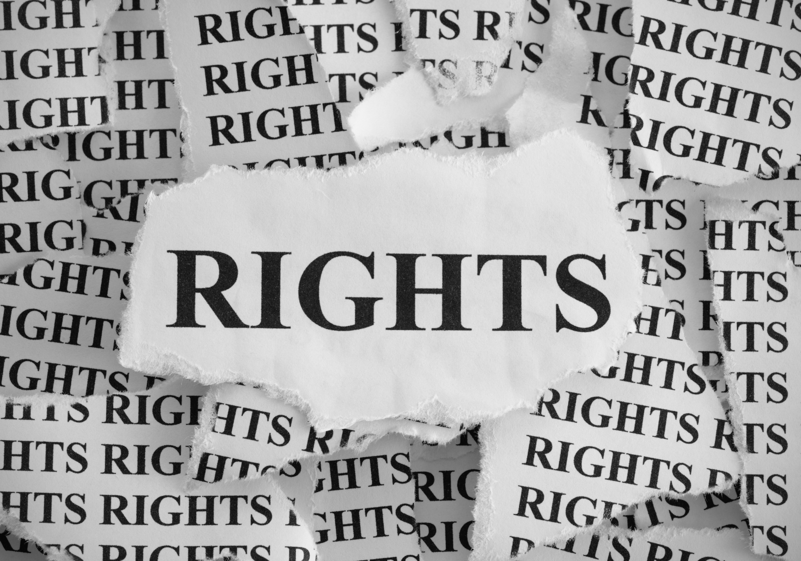 Graphic with the word "rights" written numerous times on ripped paper